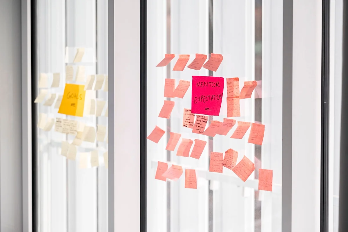 NEW Project XL All Mentors Showcase! Project XL Mentors Update!